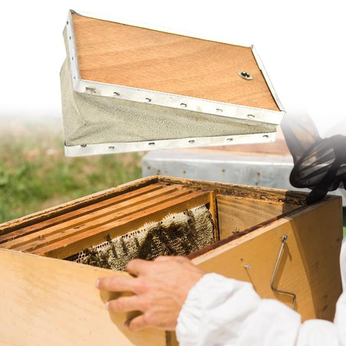 Bee hive smoker beekeeping - hive,