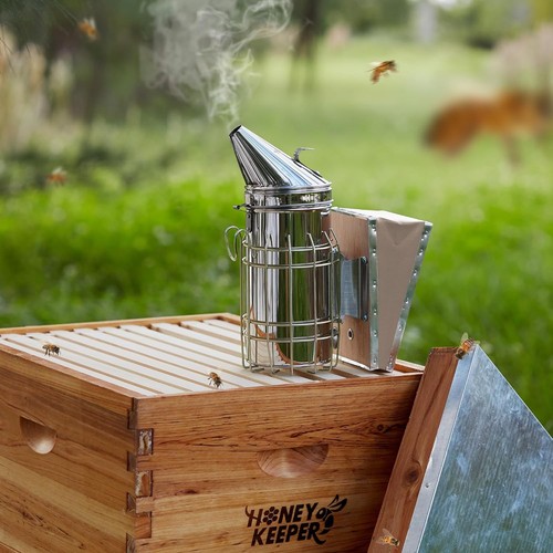 Beekeeping bee hive - bee,